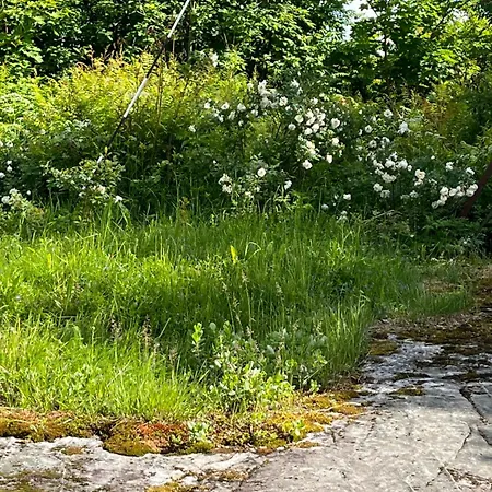 Vaatimaton Mummonmoekki, No Running Water Or Sauna Chalet